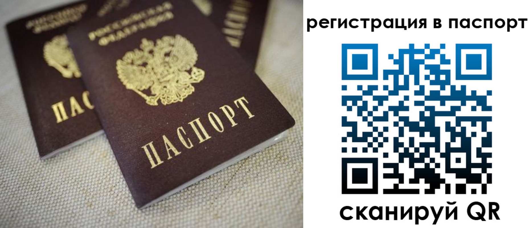 прописка гарантия в Котельниче